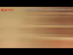 Parede divisória de tijolos perfurados com padrão tradicional chinês