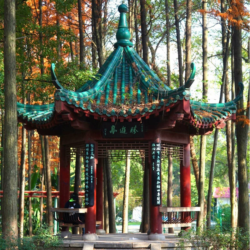 Pavilhão Estilo Chinês com Estrutura de Madeira e Telhas Verdes Esmaltadas, Textura de Madeira Retrô, Gazebo para Paisagismo de Pátio, Decoração Natural para Varanda